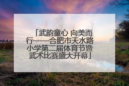 武韵童心 向美而行——合肥市天水路小学第二届体育节暨武术比赛盛大开幕