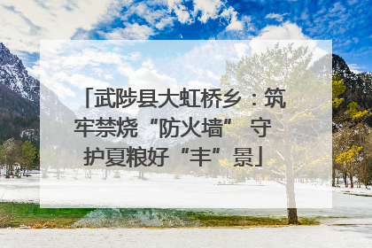 武陟县大虹桥乡：筑牢禁烧“防火墙” 守护夏粮好“丰”景
