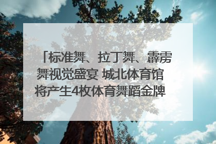 标准舞、拉丁舞、霹雳舞视觉盛宴 城北体育馆将产生4枚体育舞蹈金牌｜世运会探馆行