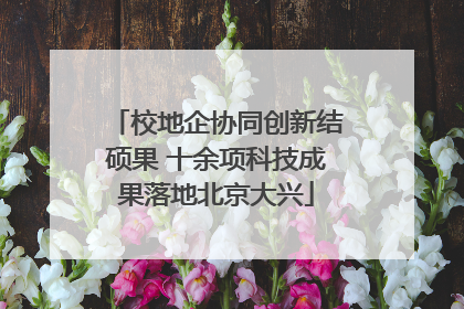校地企协同创新结硕果 十余项科技成果落地北京大兴