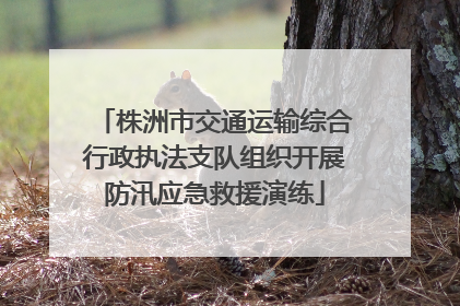 株洲市交通运输综合行政执法支队组织开展防汛应急救援演练