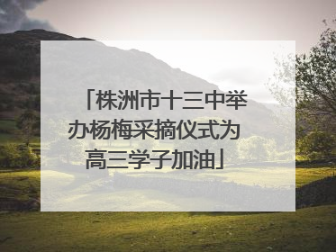 株洲市十三中举办杨梅采摘仪式为高三学子加油