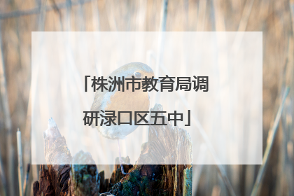 株洲市教育局调研渌口区五中