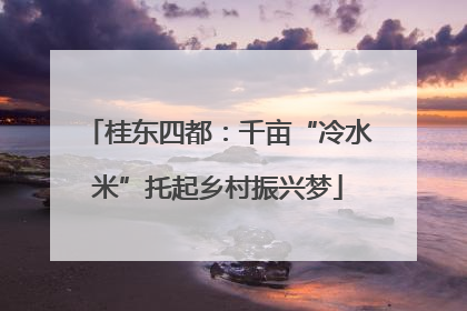 桂东四都：千亩“冷水米”托起乡村振兴梦