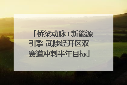 桥梁动脉+新能源引擎 武陟经开区双赛道冲刺半年目标