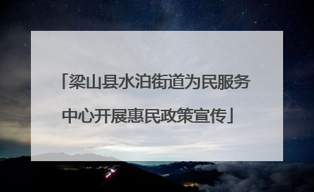 梁山县水泊街道为民服务中心开展惠民政策宣传
