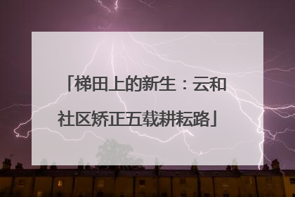 梯田上的新生：云和社区矫正五载耕耘路