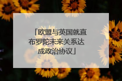 欧盟与英国就直布罗陀未来关系达成政治协议