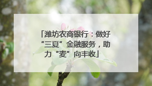 潍坊农商银行：做好“三夏”金融服务，助力“麦”向丰收