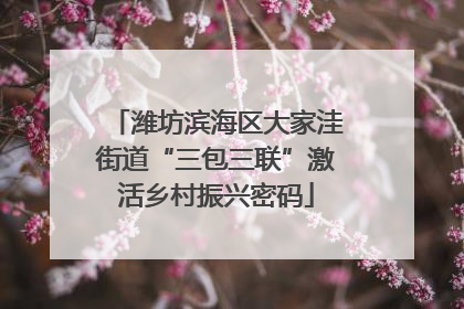 潍坊滨海区大家洼街道“三包三联”激活乡村振兴密码