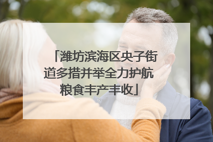 潍坊滨海区央子街道多措并举全力护航粮食丰产丰收