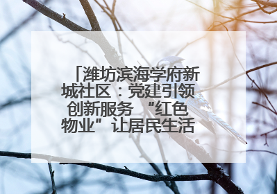 潍坊滨海学府新城社区：党建引领创新服务 “红色物业”让居民生活“幸福满格”