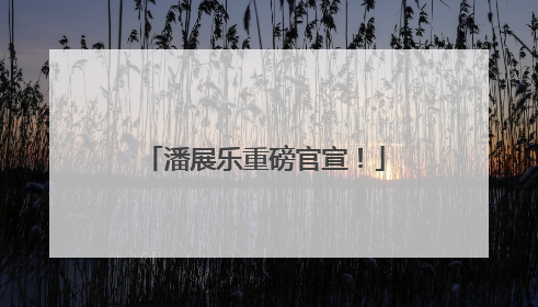 潘展乐重磅官宣！