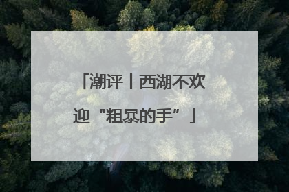 潮评丨西湖不欢迎“粗暴的手”