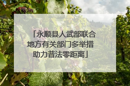 永顺县人武部联合地方有关部门多举措助力普法零距离