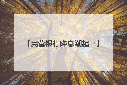 民营银行降息潮起→