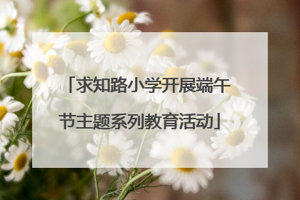 求知路小学开展端午节主题系列教育活动
