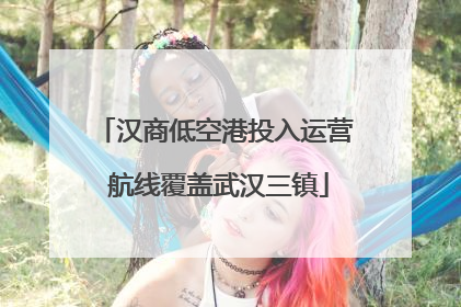 汉商低空港投入运营 航线覆盖武汉三镇