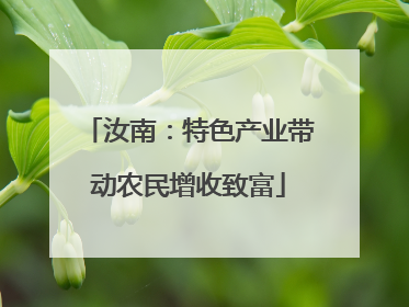 汝南：特色产业带动农民增收致富