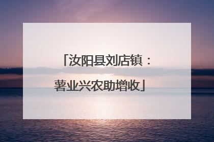 汝阳县刘店镇：薯业兴农助增收