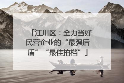 江川区：全力当好民营企业的“最强后盾”“最佳拍档”