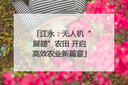 江永：无人机“展翅”农田 开启高效农业新篇章