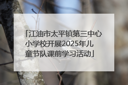 江油市太平镇第三中心小学校开展2025年儿童节队课前学习活动