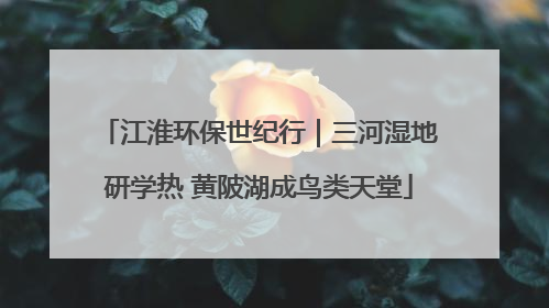 江淮环保世纪行｜三河湿地研学热 黄陂湖成鸟类天堂