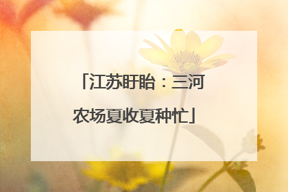 江苏盱眙:三河农场夏收夏种忙