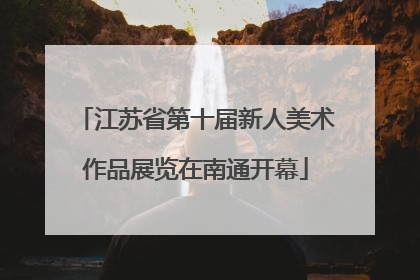 江苏省第十届新人美术作品展览在南通开幕