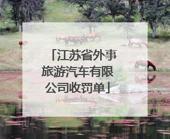 江苏省外事旅游汽车有限公司收罚单