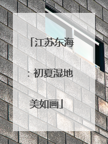 江苏东海：初夏湿地美如画