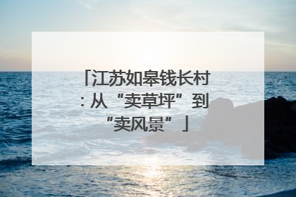 江苏如皋钱长村：从“卖草坪”到“卖风景”