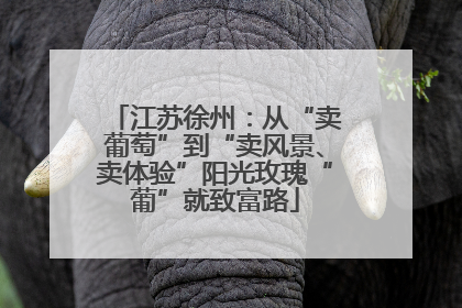 江苏徐州：从“卖葡萄”到“卖风景、卖体验”阳光玫瑰“葡”就致富路