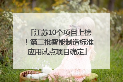 江苏10个项目上榜！第二批智能制造标准应用试点项目确定