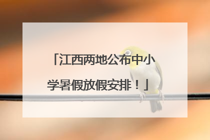 江西两地公布中小学暑假放假安排！