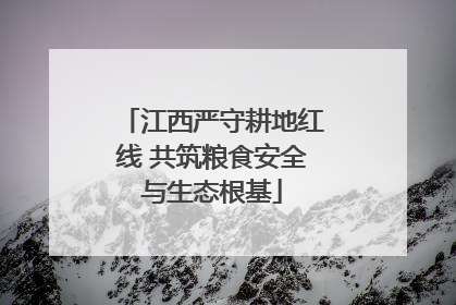 江西严守耕地红线 共筑粮食安全与生态根基