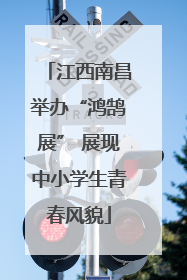 江西南昌举办“鸿鹄展” 展现中小学生青春风貌