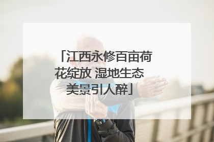 江西永修百亩荷花绽放 湿地生态美景引人醉