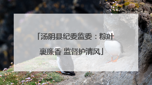 汤阴县纪委监委：粽叶裹廉香 监督护清风