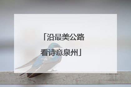 沿最美公路 看诗意泉州