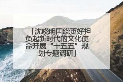 沈晓明围绕更好担负起新时代的文化使命开展“十五五”规划专题调研