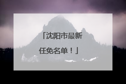 沈阳市最新任免名单！