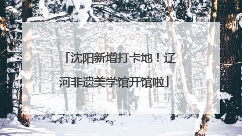 沈阳新增打卡地！辽河非遗美学馆开馆啦