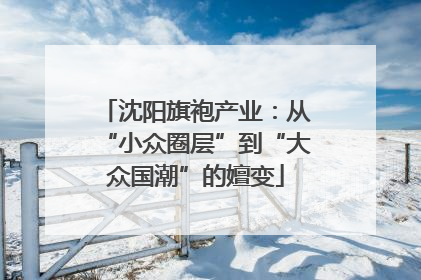 沈阳旗袍产业：从“小众圈层”到“大众国潮”的嬗变