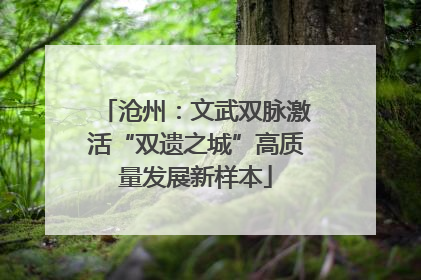 沧州：文武双脉激活“双遗之城”高质量发展新样本