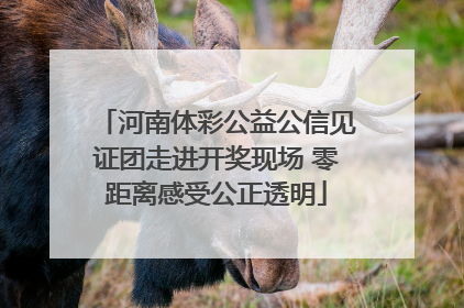 河南体彩公益公信见证团走进开奖现场 零距离感受公正透明
