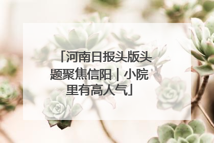 河南日报头版头题聚焦信阳｜小院里有高人气