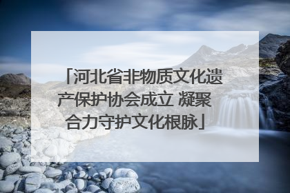河北省非物质文化遗产保护协会成立 凝聚合力守护文化根脉