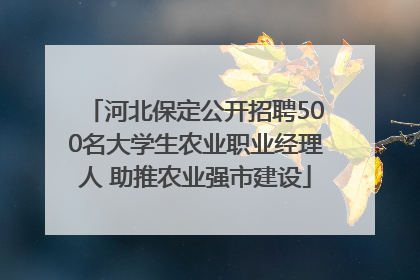 河北保定公开招聘500名大学生农业职业经理人 助推农业强市建设